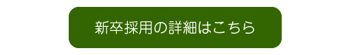 新卒採用詳細